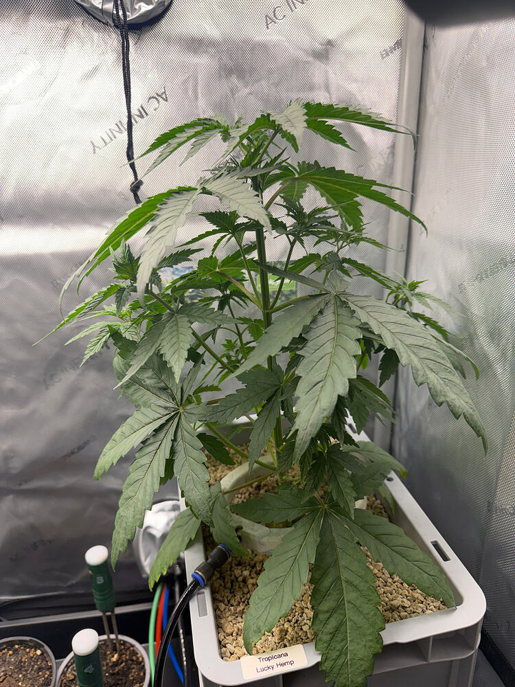 Growreport Bild 13