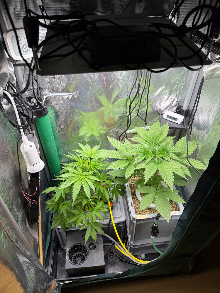 Growreport Bild 20