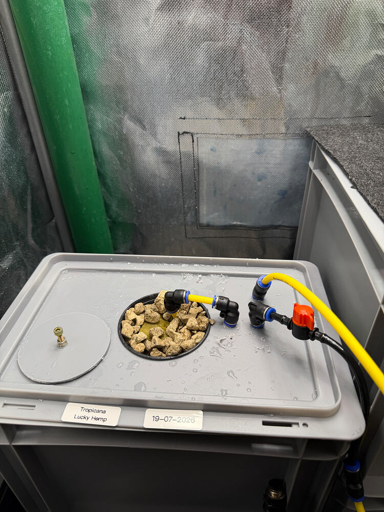 Growreport Bild 6