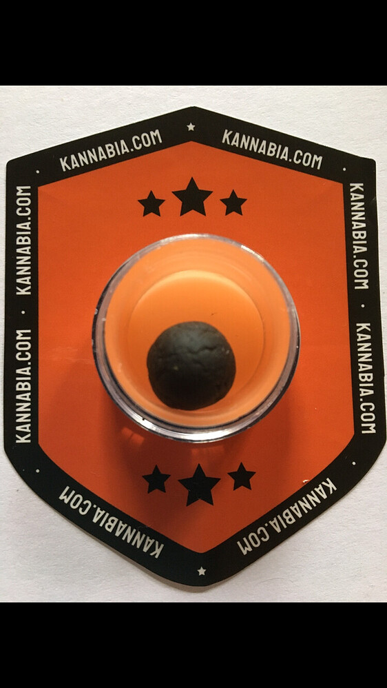 KANNABIA Cbg Auto im Kühlschrank