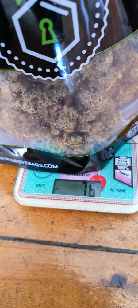 Reise ins Unbekannte 🛸 No Till in 4 Liter mit Biotabs und Hesi Bio Bloom