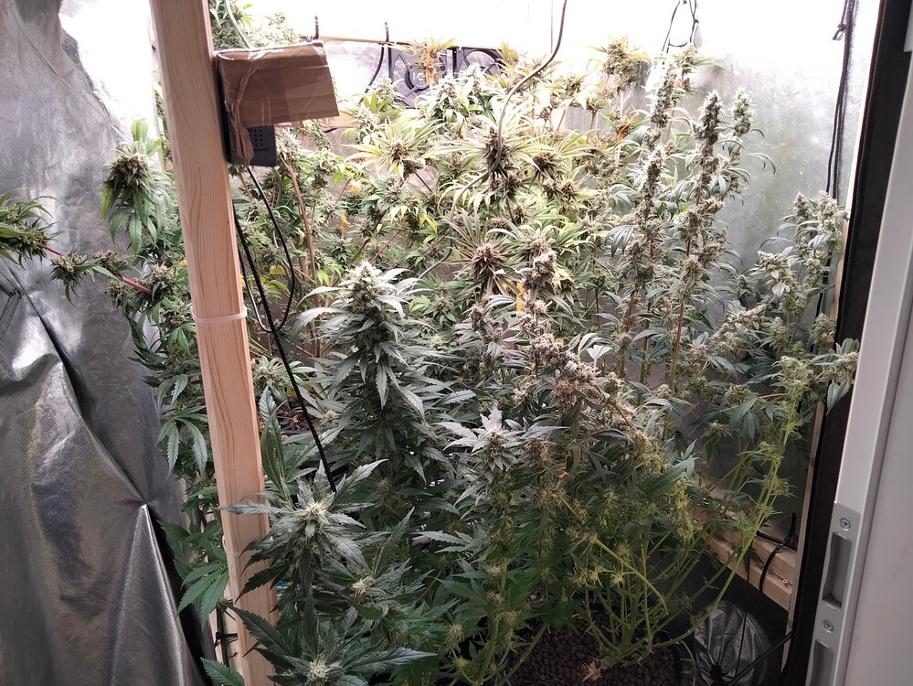 Frosty Fields by Linda Seeds made by The-Obelix