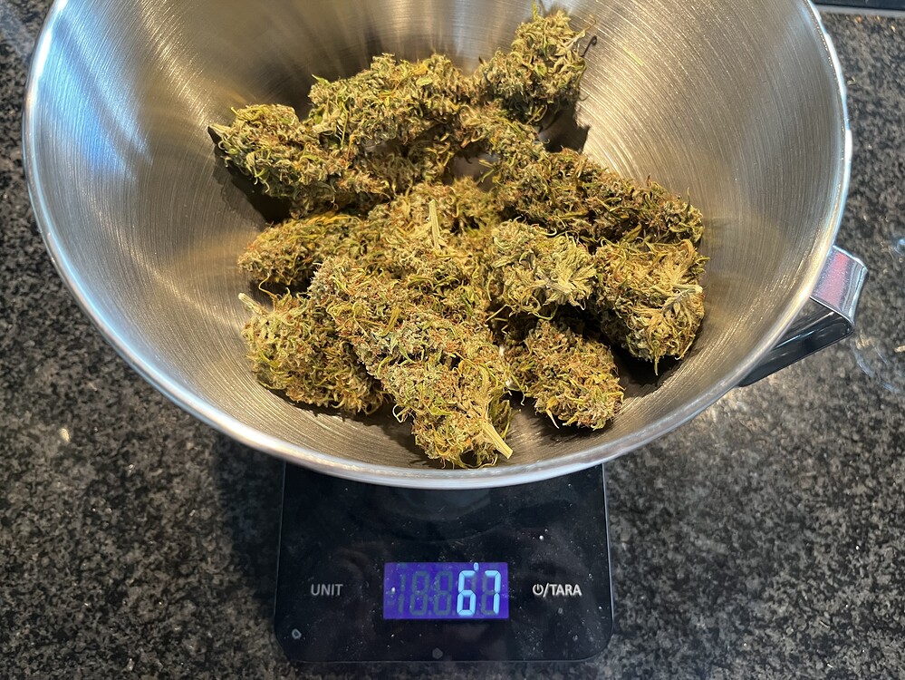Killer A5 Haze Scrog