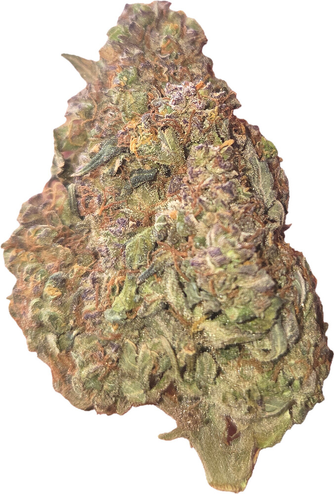 Enrico wird Hanfluencer - Cherry Kush Coke Auto, sponsored by Linda