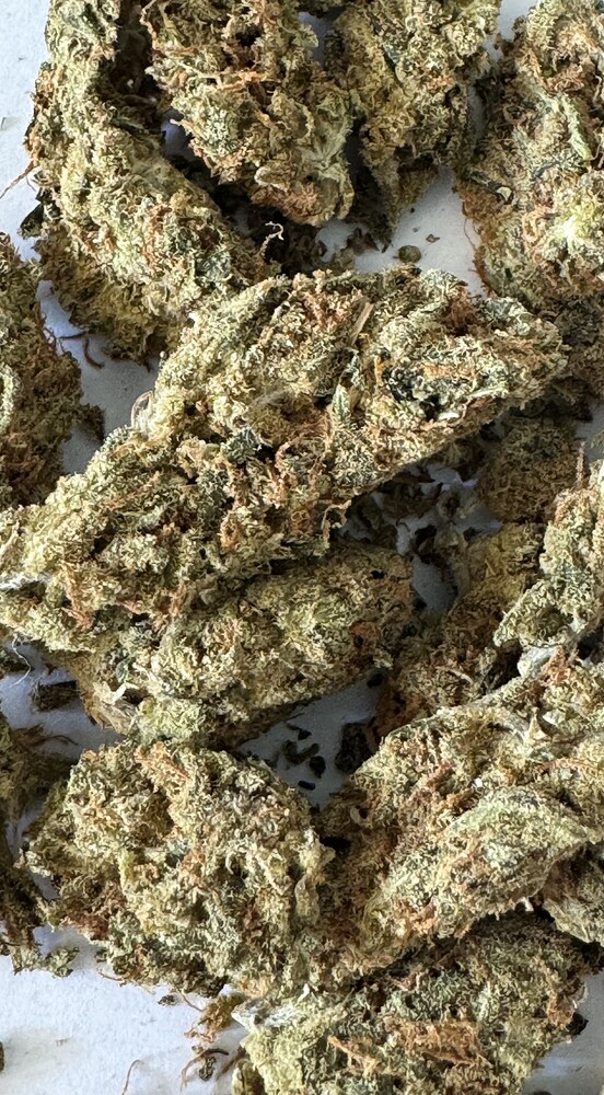 Fast Buds Amnesia Zkittlez Auto - organisch Klappe die Erste