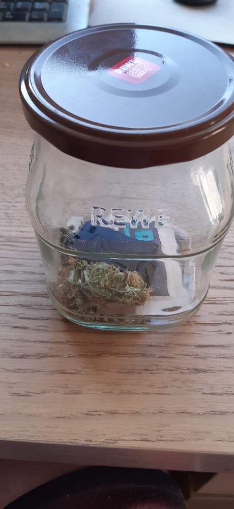 Mein allererste Grow (400 Watt 100x100x200)