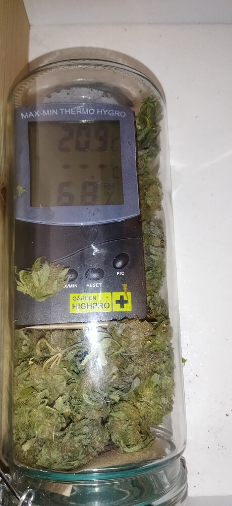1. Grow | 3x Shogun | Ende | Caluma Force 75W | 40x40
