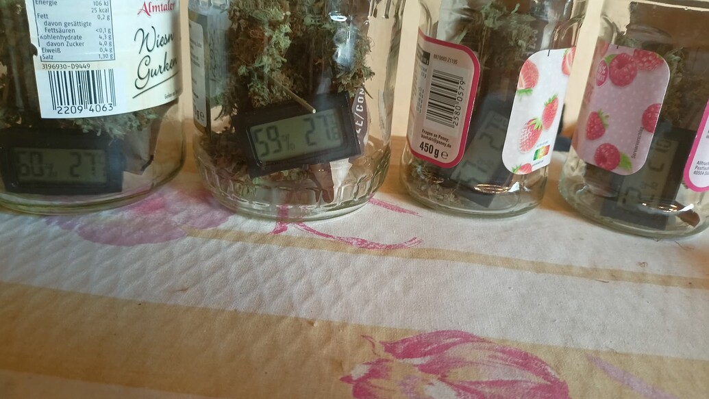 Mini Grow Experiment / 40x40x120 Zelt / Geht das dingen durch de decke?