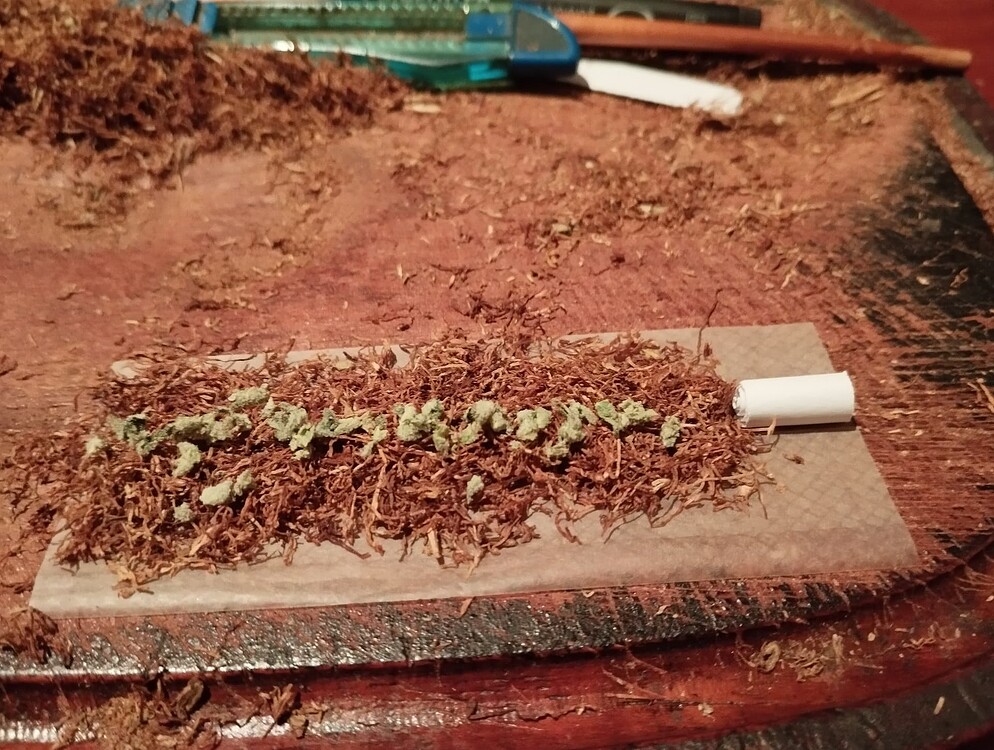 @GanjaFarmer.de - #Alien Cookies - Promo Grow No.I
