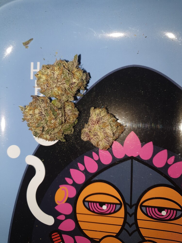 Fiestaz Wizard Trees Coco Advanced Nutrients