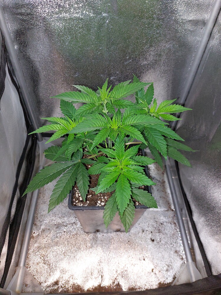 Growreport Bild 12
