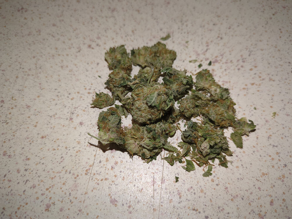 Growreport Bild 12