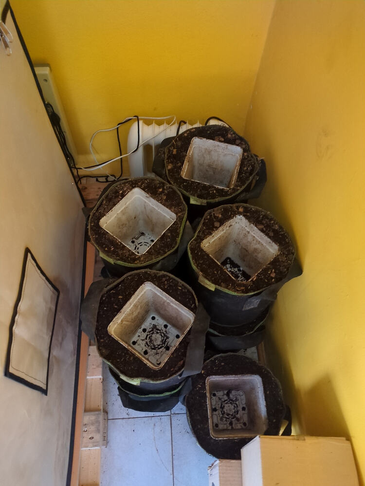 Growreport Bild 2