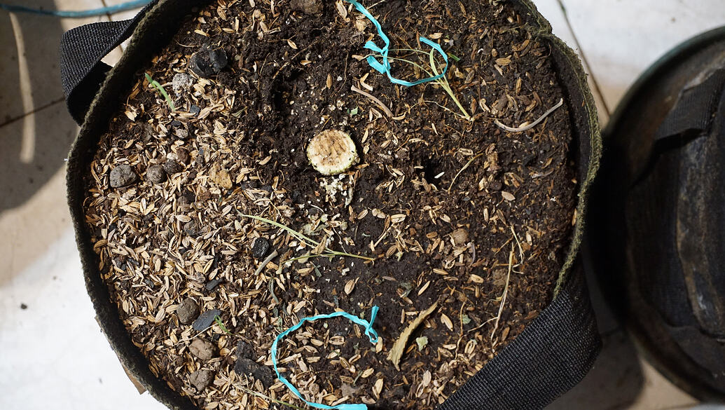 Growreport Bild 21