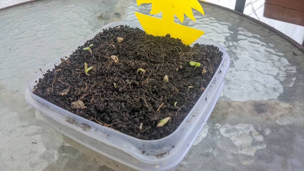 Growreport Bild 8