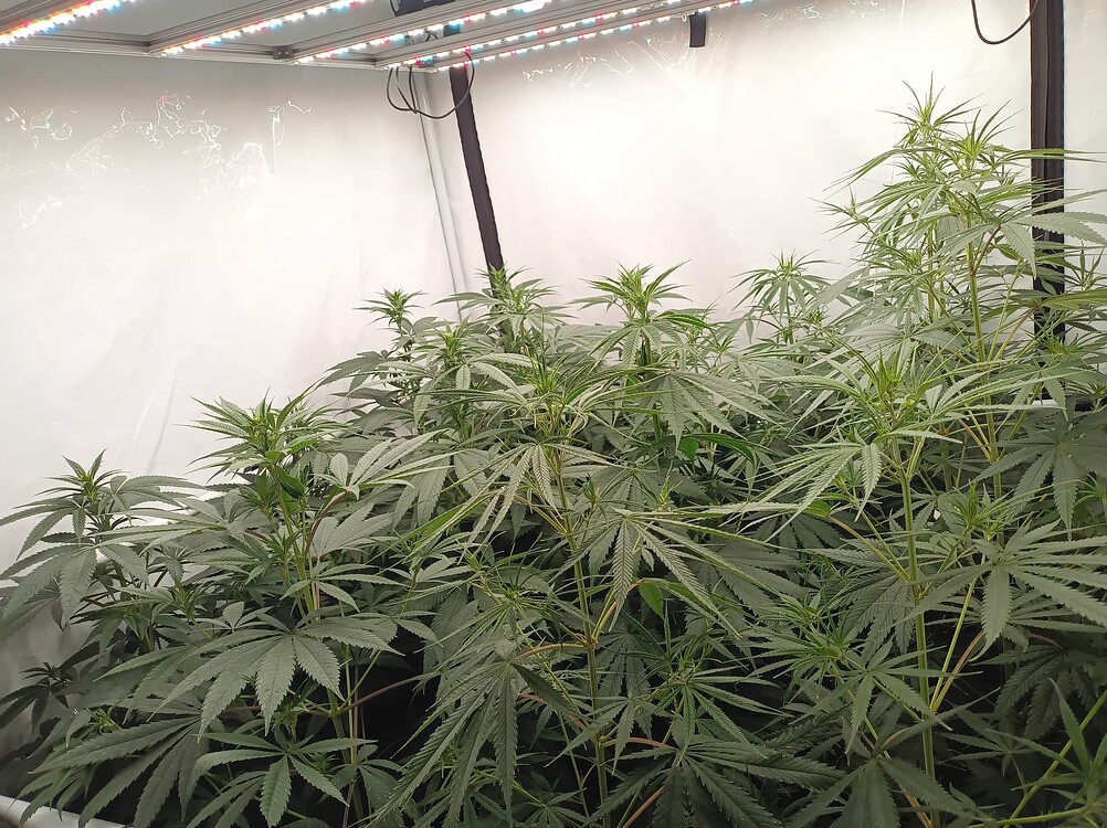 Growreport Bild 12