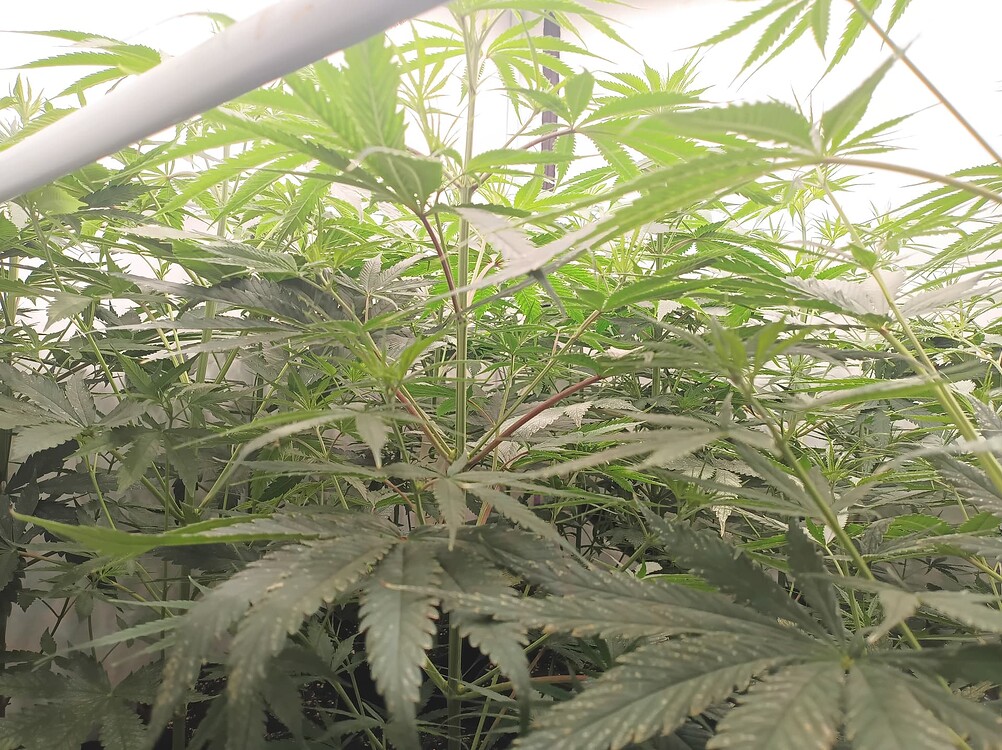 Growreport Bild 18