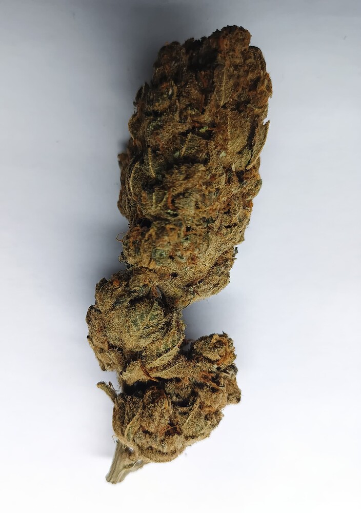 Growreport Bild 5