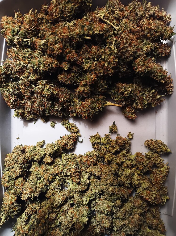 Growreport Bild 14