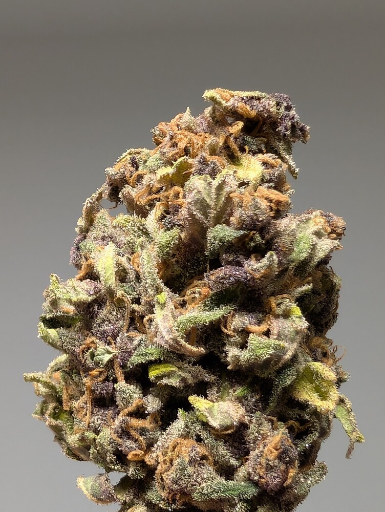 Slurricane Produktfoto