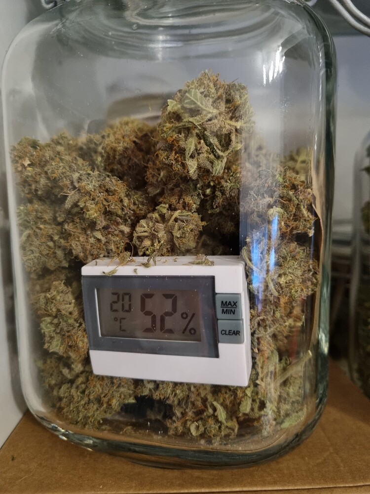Nörd's sörd Grow... alles Hesi... Skunk #1, blue dream, AK-420 Automatics... modded Phlizon