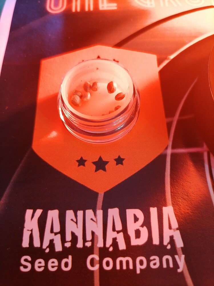 Colombian Jack Produktfoto