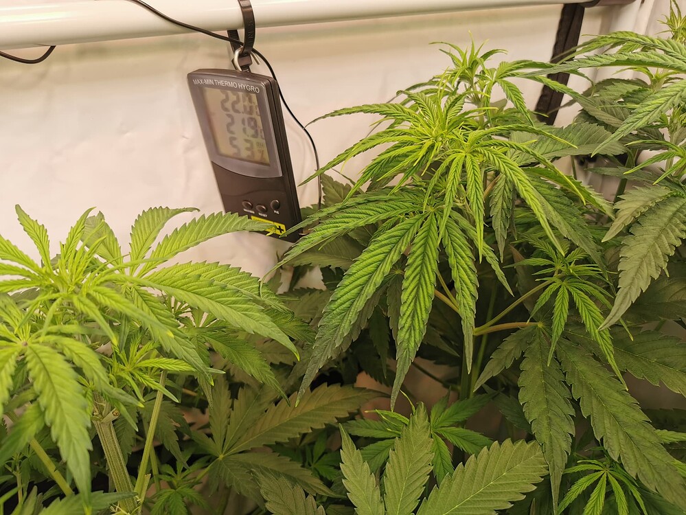 Growreport Bild 8