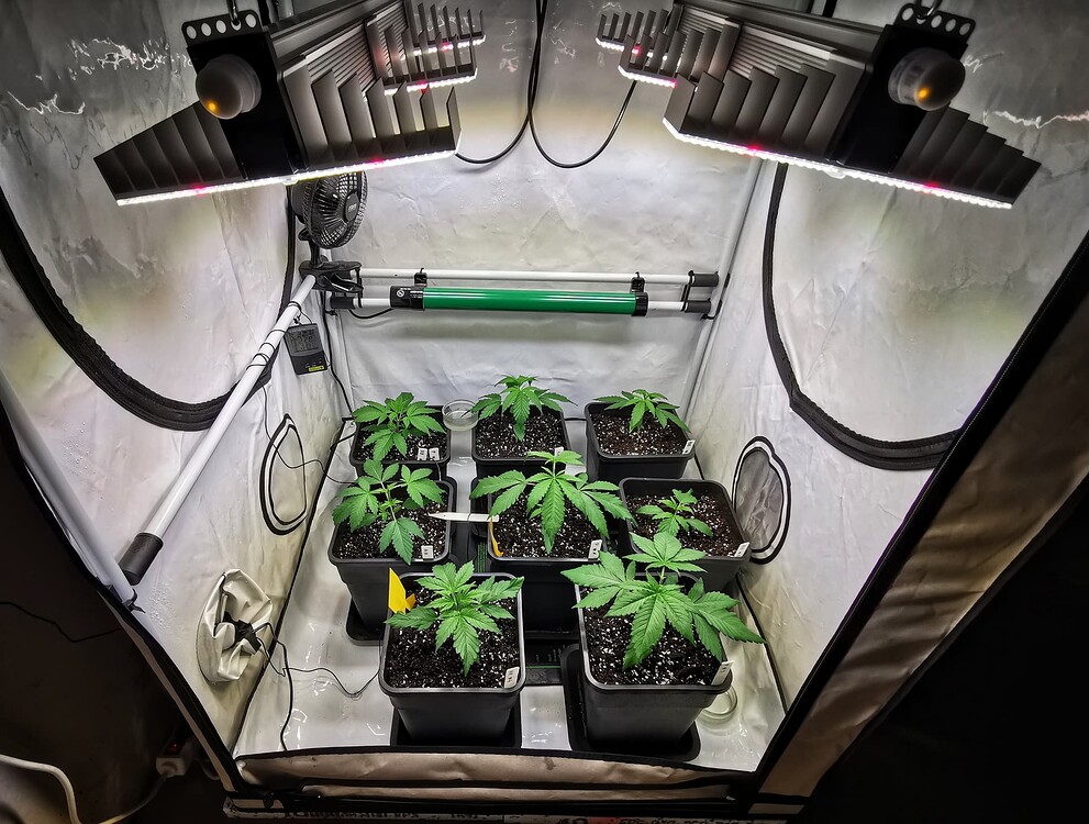 Growreport Bild 9