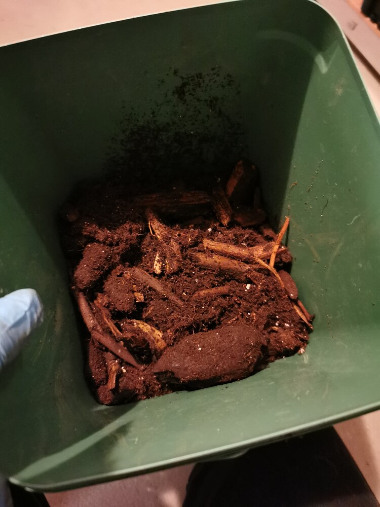 Ein grüner Pflanztopf gefüllt mit Erde, in der deutlich viele grobe Holzstücke und Rindenreste zu sehen sind.