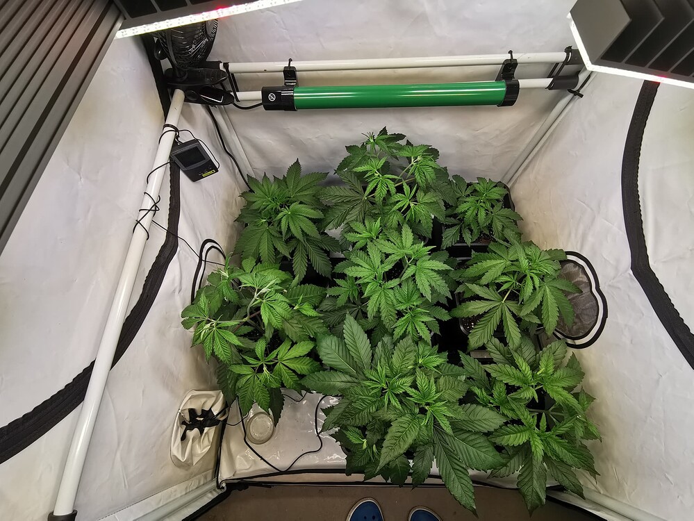Growreport Bild 2