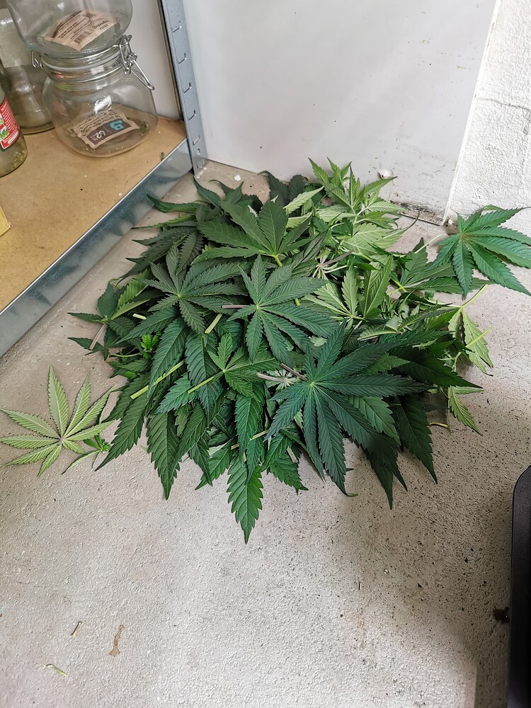 Growreport Bild 6
