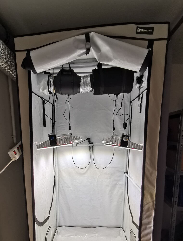 Ein leeres Homebox Growzelt mit installierter LED-Beleuchtung und Abluftsystem.