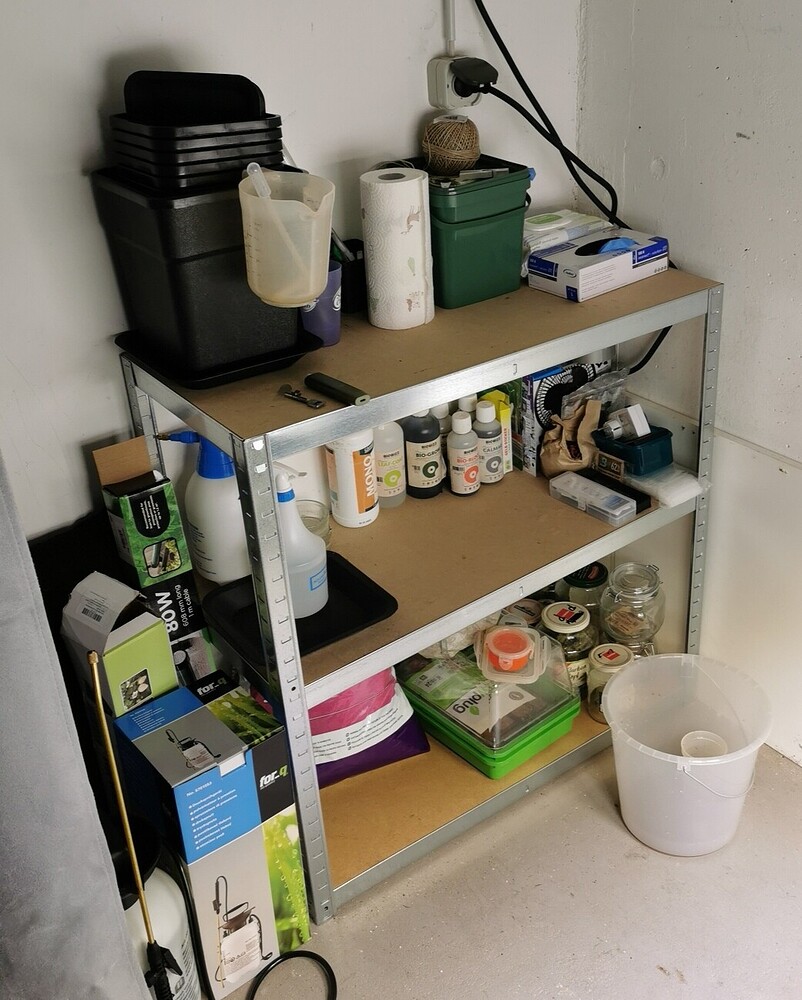 Growreport Bild 11