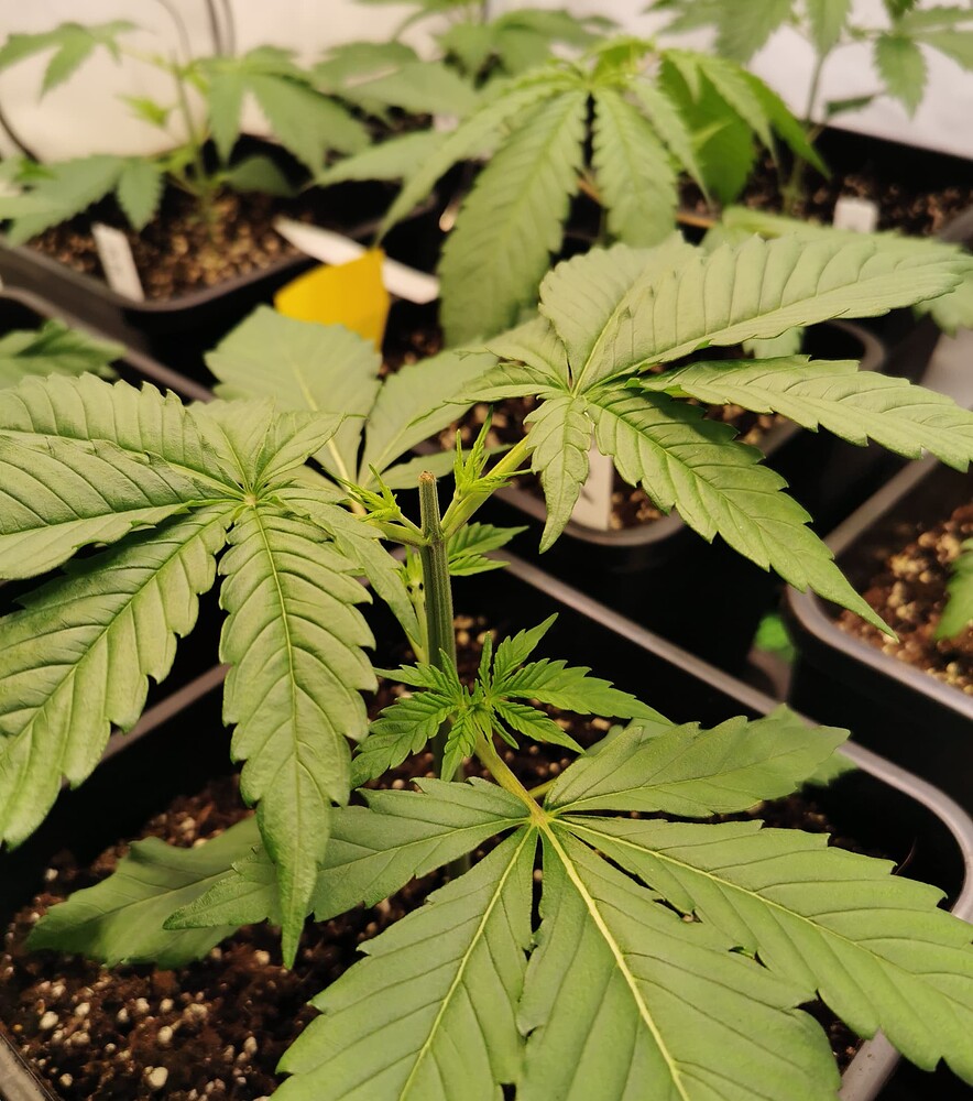 Growreport Bild 14