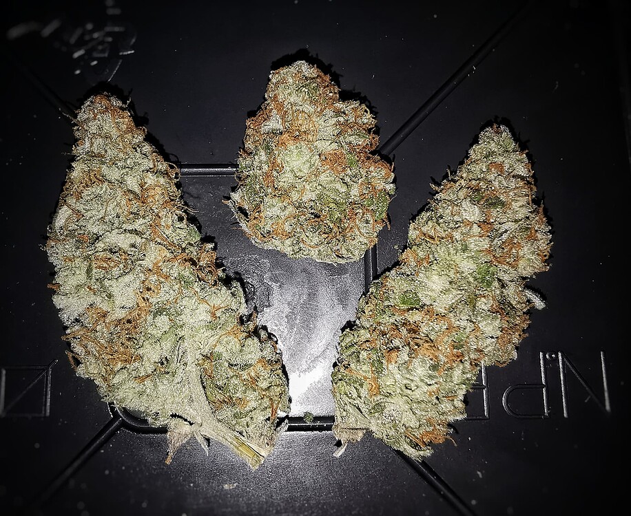 Growreport Bild 1