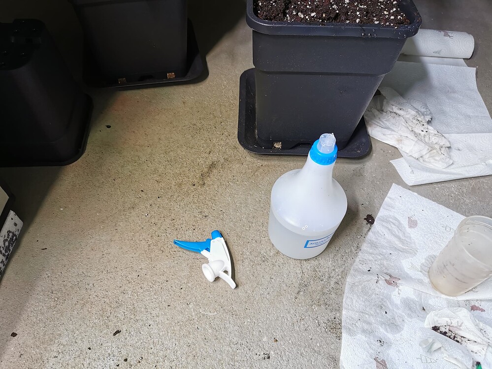 Growreport Bild 7
