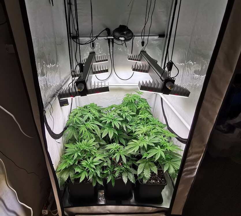 Growreport Bild 8