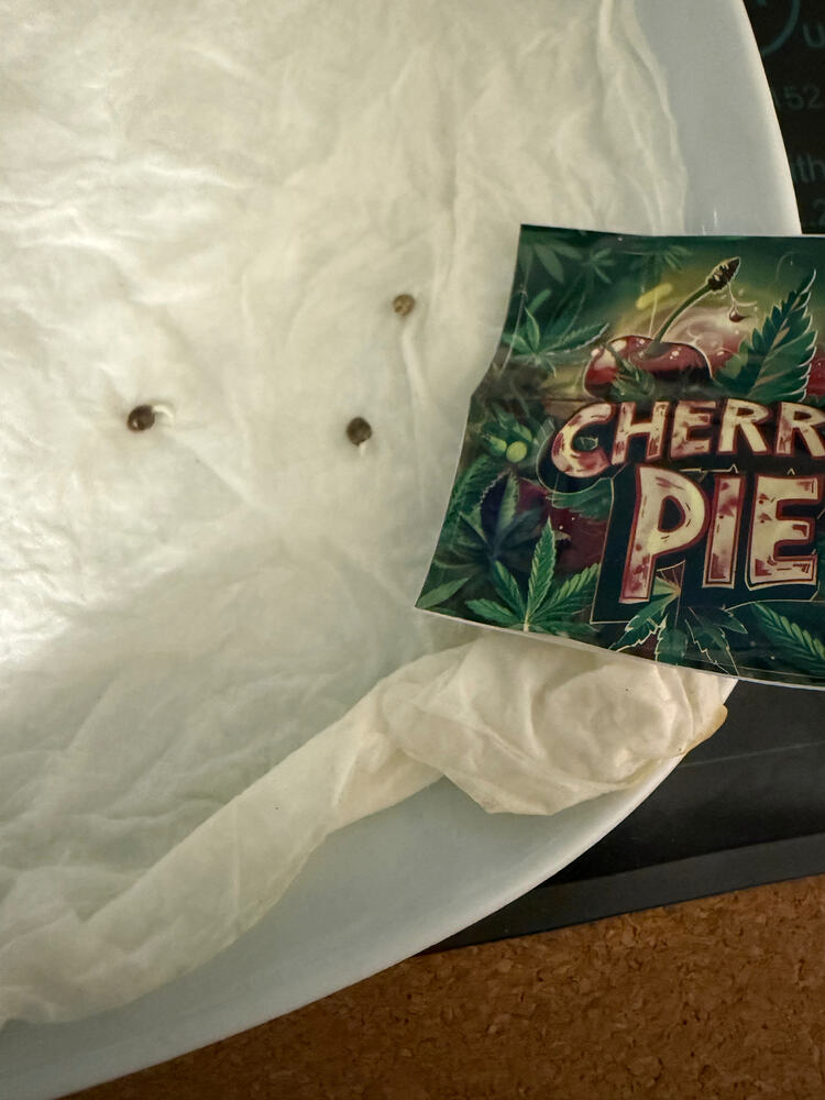 Cherry Pie Produktfoto
