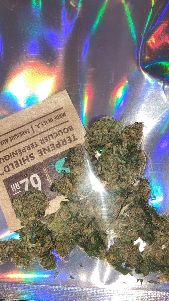 Growbericht / Verschiedene Seeds / Outdoor-Automatic