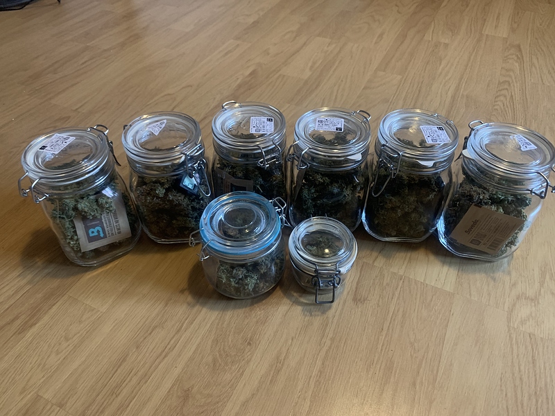 1. Grow / White Widow / 200W DIY Pro-Emit / Ernte
