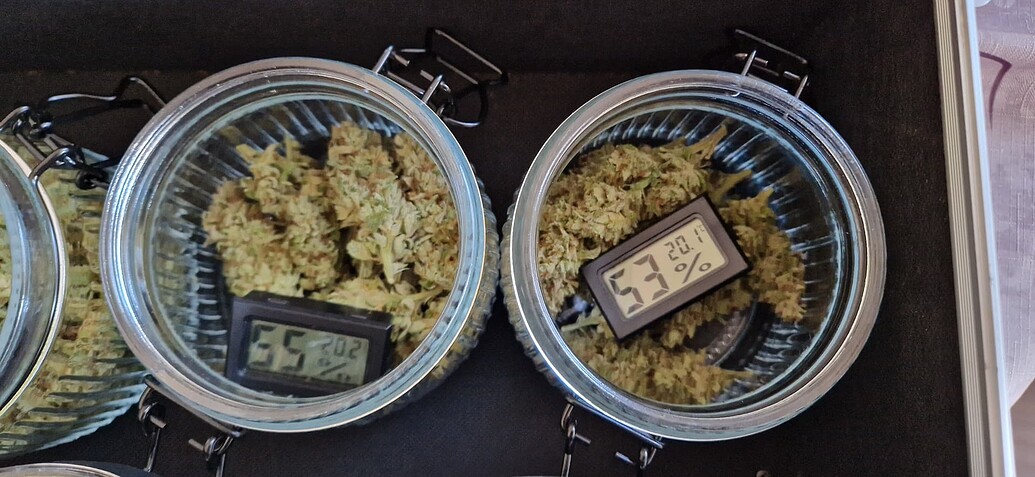 Frosty Fields Grow by GrowForSmoke