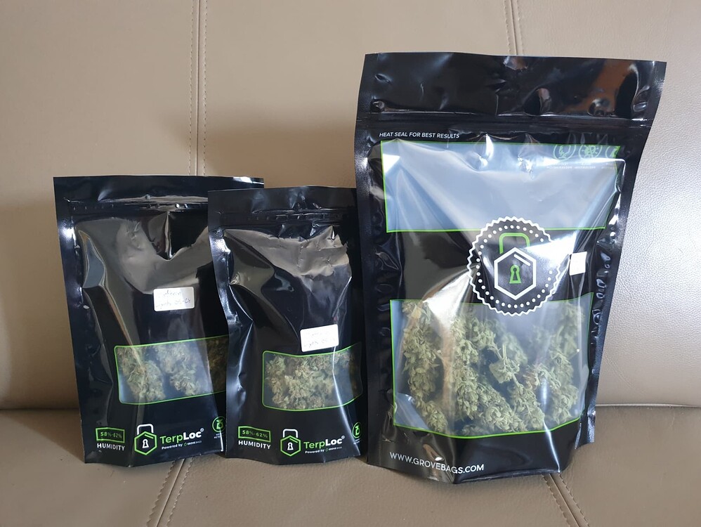 [Abgeschlossen] Eine Northern Lights Auto und Freunde gehen outdoor ihren Weg