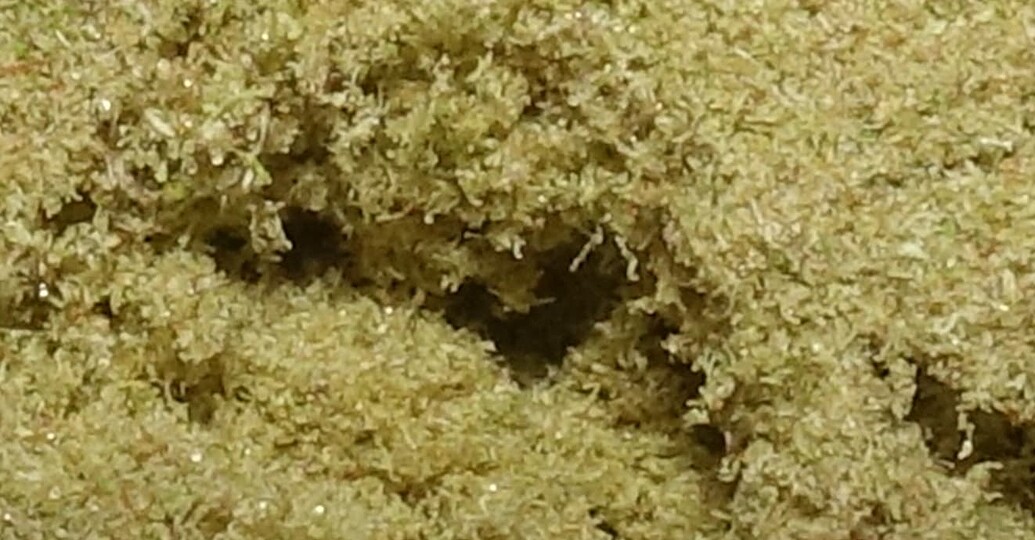 ☀️ Ruhr-Pots first time outdoor experiments... + Bud washing & Kief-Manufaktur ☀️