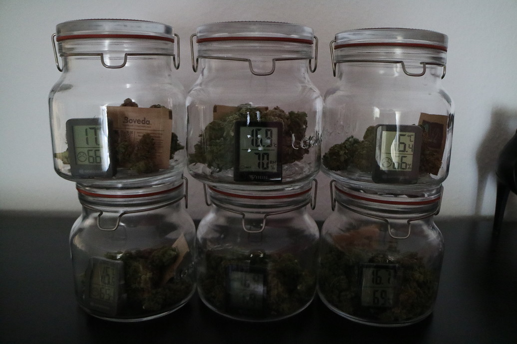 3. Altherren-Grow: 3 x Hindu Kush mit Greenception