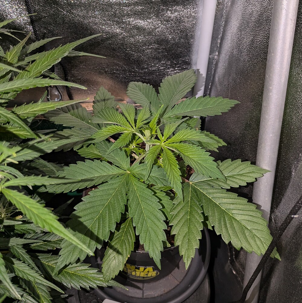 Growreport Bild 22