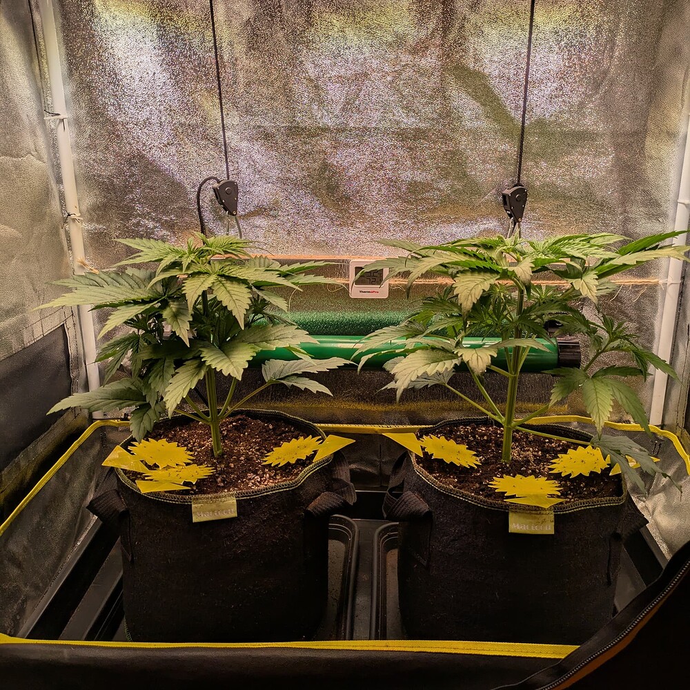 Growreport Bild 18