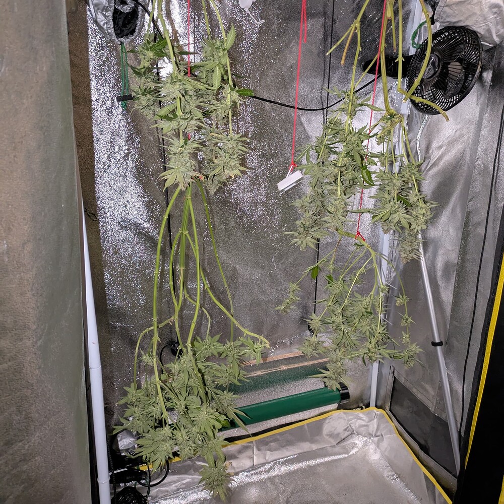 Growreport Bild 13