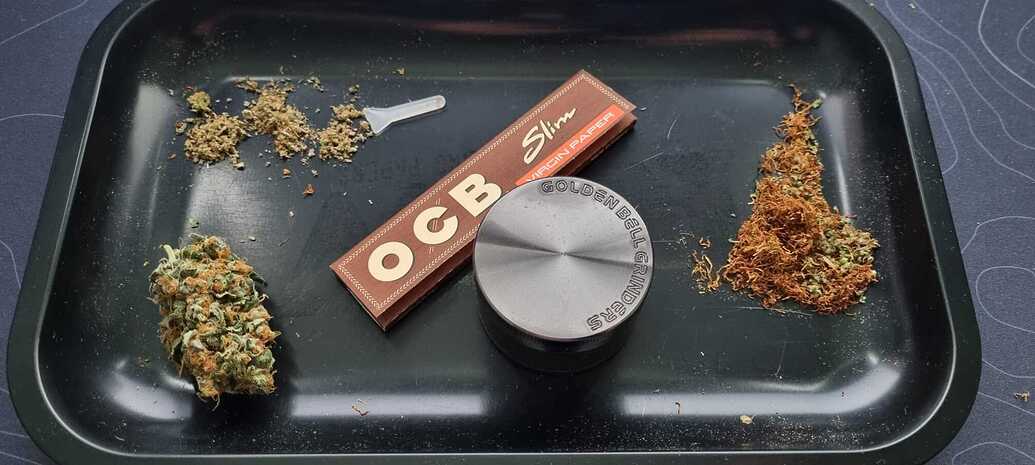 [Beendet] 1. Grow: 1x BigBud, 1x Nicole Kush, 1x Chemdog; indoor