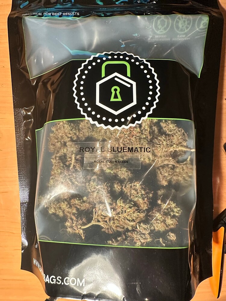 Royal Bluematic Auto (Royal Queen Seeds) Produktfoto