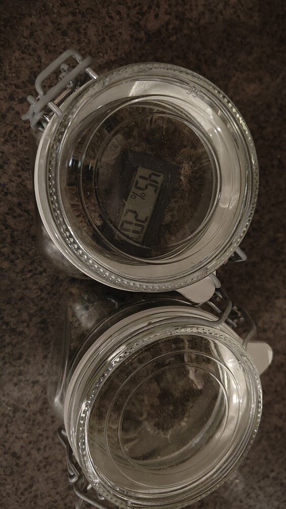 Indoor Grow: 3x RQS Pink Runtz fem. Photo